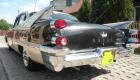 auto do �lubu - Dodge Custom Royal 