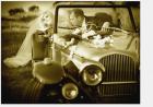 auto do �lubu - Alfa Romeo  