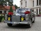 auto do �lubu - Citroen BL 11 