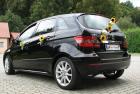 Mercedes 2010 