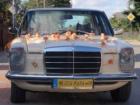 auto do �lubu - Mercedes W115 zabytkowy retro do �lubu 