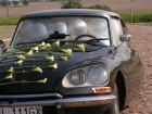 Citroen bl,ds,cx 1973 