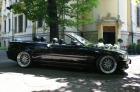 BMW E46 Cabrio 