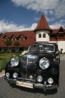 Austin AUSTIN SHEERLINE  1951 AUSTIN