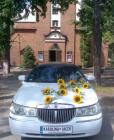 Lincoln wypo�yczalnia Limuzyn do �lubu - Opole 