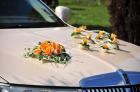 Lincoln Town Car CARTIER 1998 