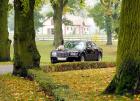 Chrysler 300c 2006 PROJEKT I WYKONANE DEKORACJI WIDOCZNEJ NA ZDJ�CIU  Z 60 RӯOWYCH Rӯ  VIOLETTA MALICKA artFOTOlubo�