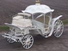 auto do �lubu - Inna marka Kopciuszek Kareta do �lubu