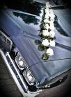 Buick Riviera Boattail 1972 