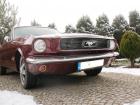 auto do �lubu - Ford MUSTANG 